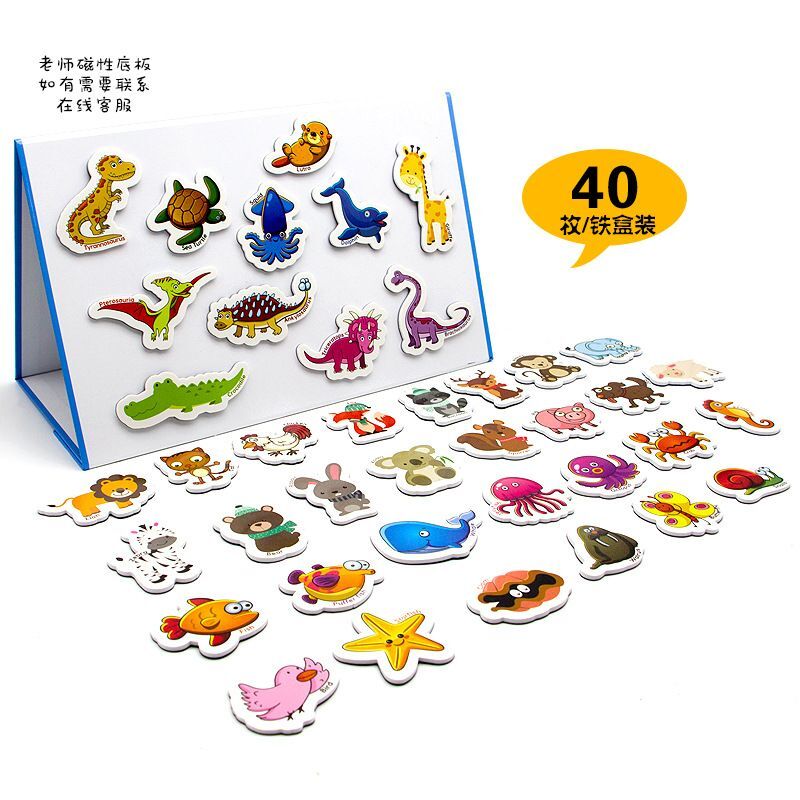 MAGNETEVA High Quality Product Showcase