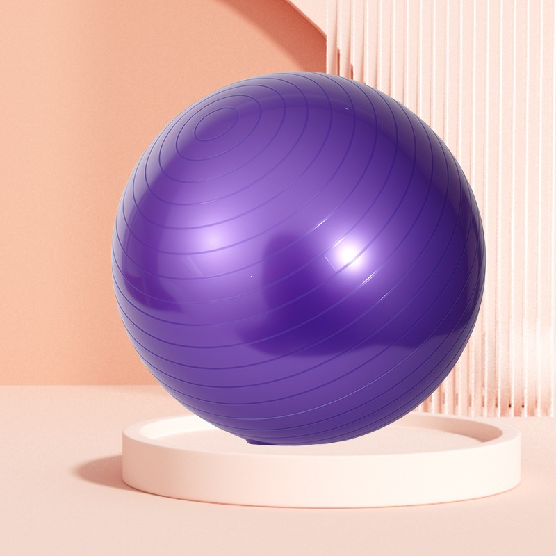 65cm Thickened PVC Yoga Fitness Ball